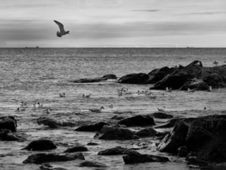 Black and white sea photography The West