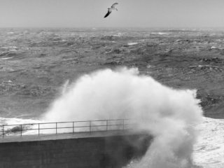 Black and white seascape photography The Far West